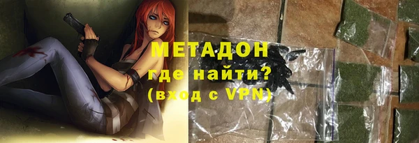 индика Алзамай