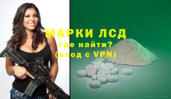 индика Алзамай
