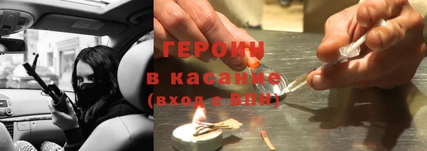 прущие грибы Новозыбков