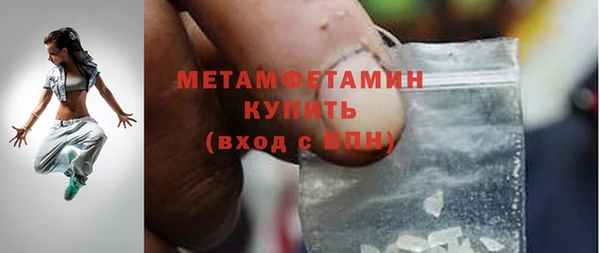 прущие грибы Новозыбков