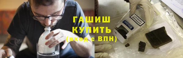 прущие грибы Новозыбков