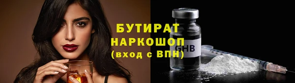 прущие грибы Новозыбков