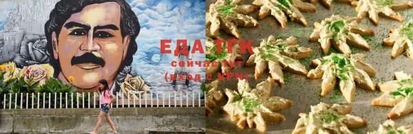 прущие грибы Новозыбков