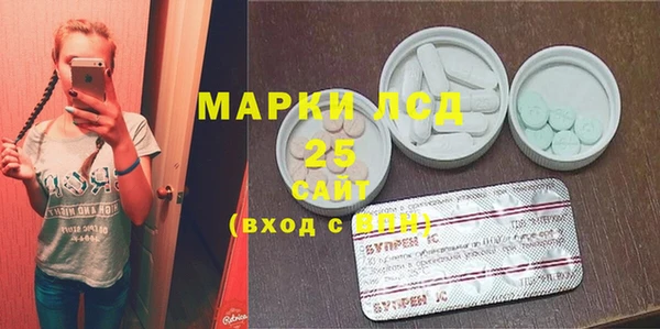 индика Алзамай
