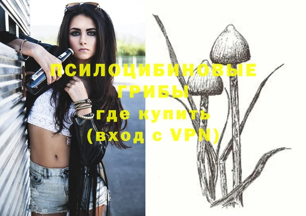индика Алзамай