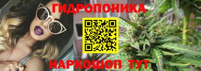 прущие грибы Тара