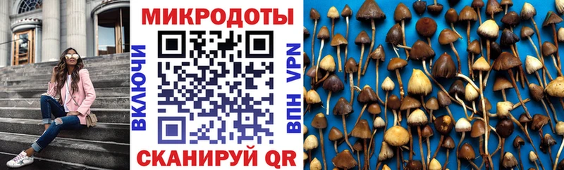 наркотики  Анапа  Галлюциногенные грибы мухоморы 